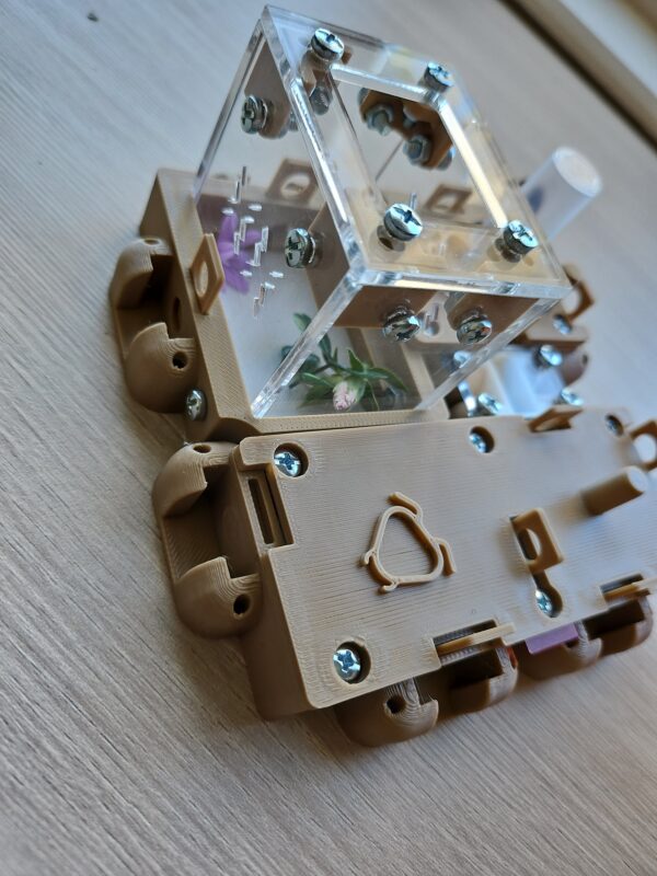 Kit Reinero Modular 2026 (beige) Felagu