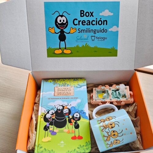 BOX CREACIÓN CON PROPÓSITO – (principiantes)