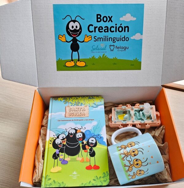 BOX CREACIÓN CON PROPÓSITO – (principiantes)