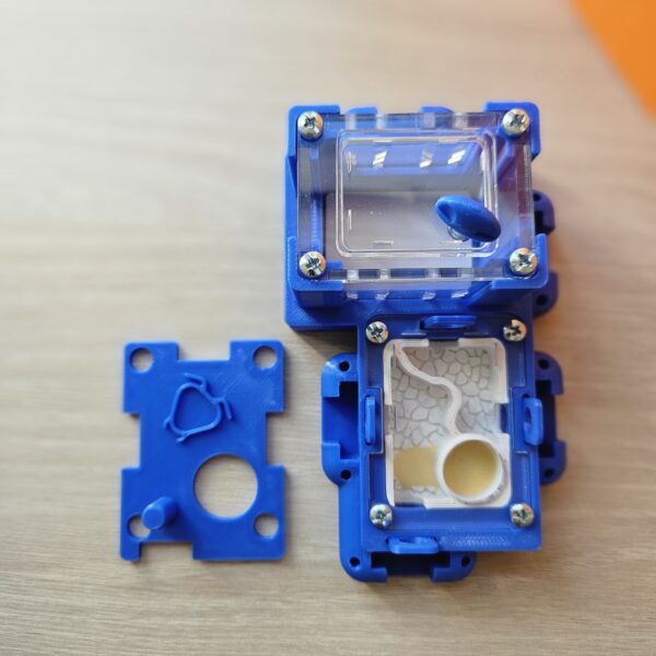 Box "Paciente" (Color Azul)