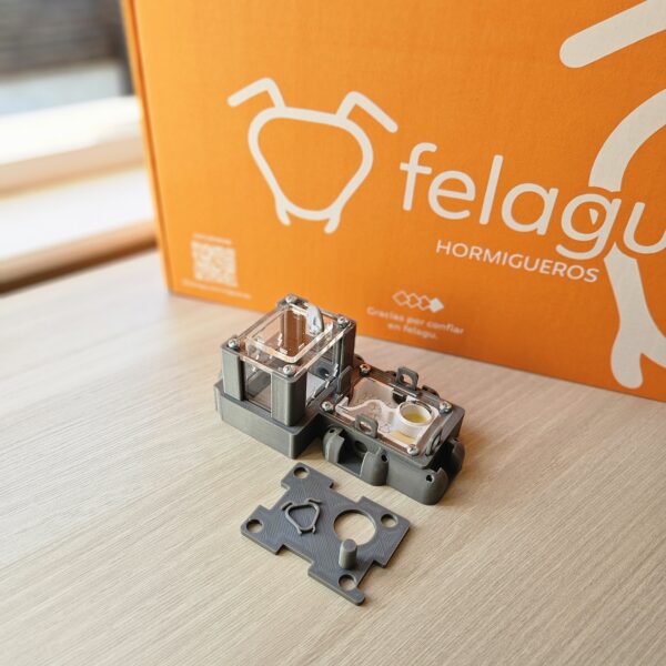 1000258535-scaled.jpg Box "Paciente" (Color Gris)