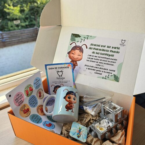 1000258544-scaled.jpg Box "Paciente" (Color Gris)