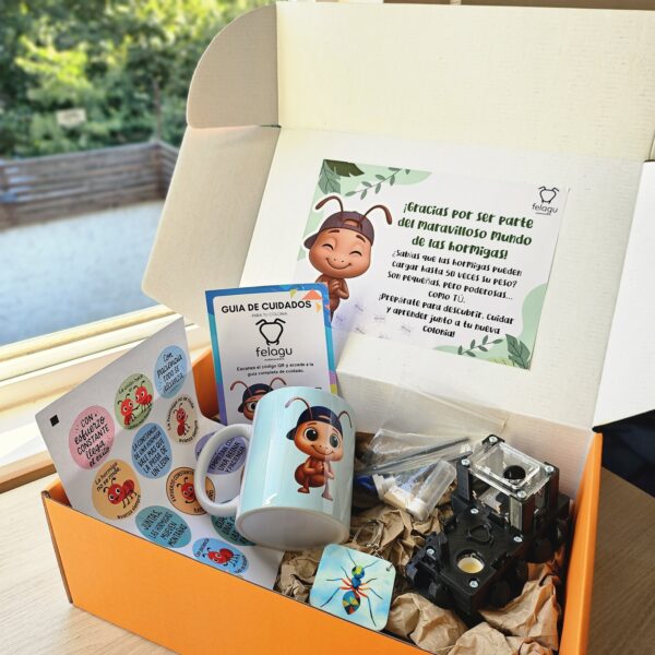 1000258545-scaled.jpg Box "Paciente" (Color Negro)