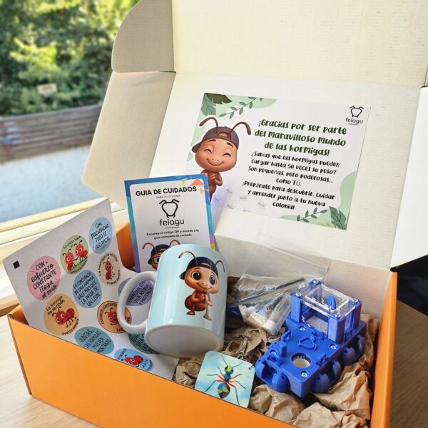 Box "Paciente" (Color Azul)