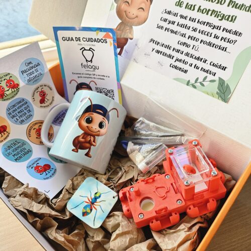 Box "Paciente" (Color Rojo)