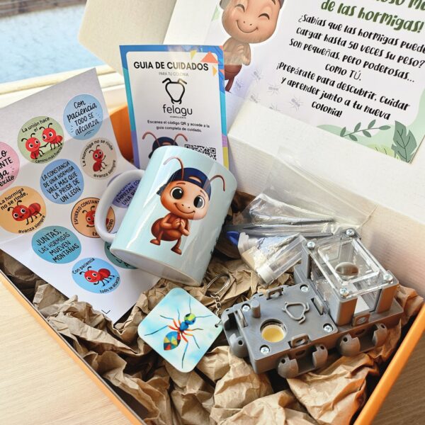 1000258549-scaled.jpg Box "Paciente" (Color Gris)