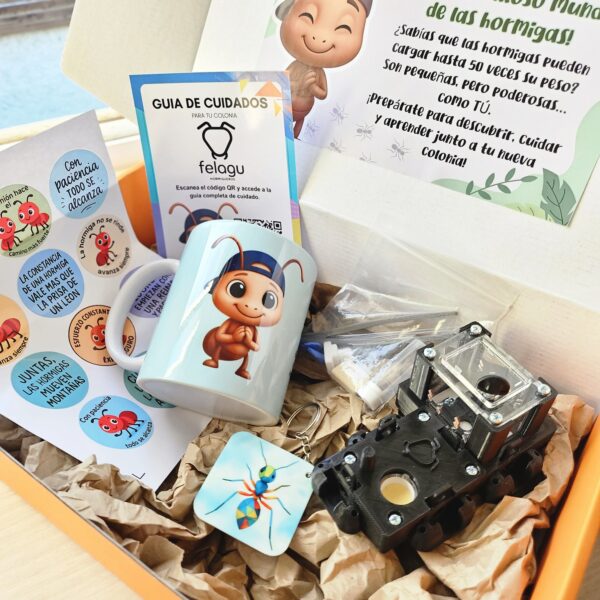 1000258550-scaled.jpg Box "Paciente" (Color Negro)