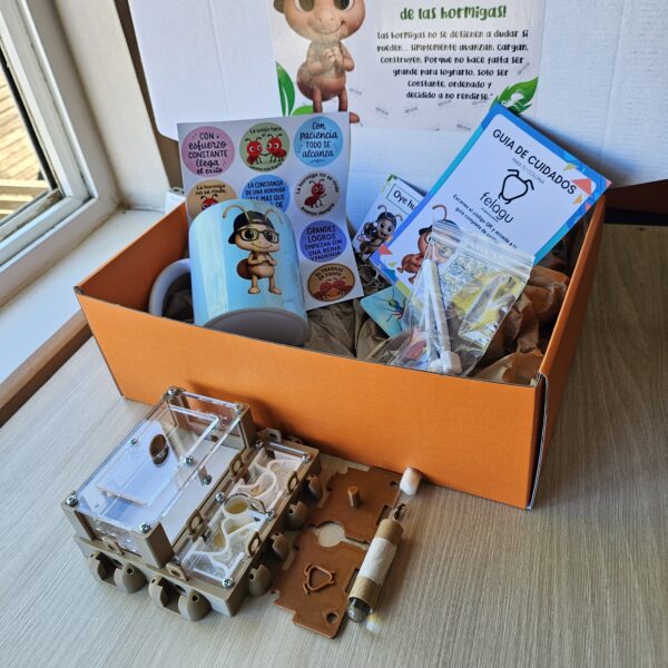 Box "Paso a Paso" (principiantes)