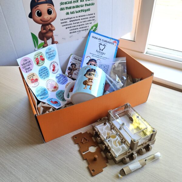 Box "Paso a Paso" (principiantes)