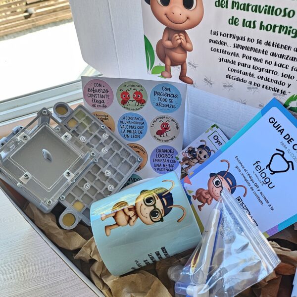 Box Micropro (Plomo)