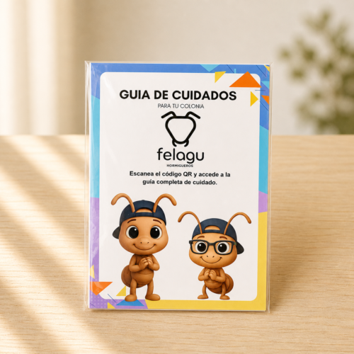 1000324034.png Guia de Cuidados basicos virtual