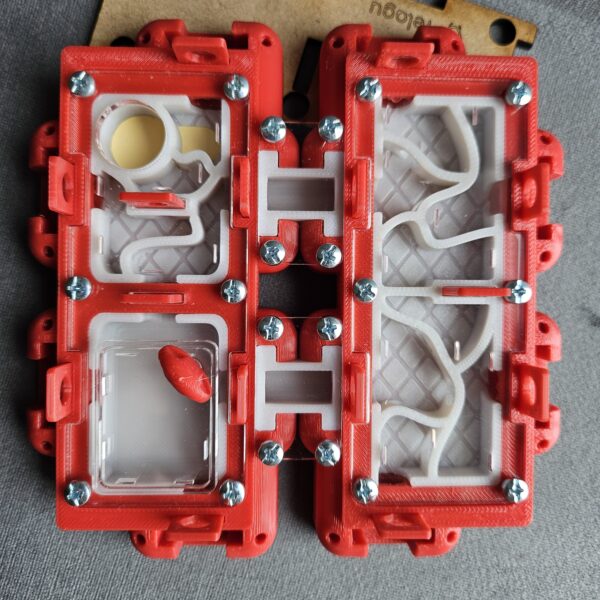 Hormiguero - Kit Reinero Modular Felagu