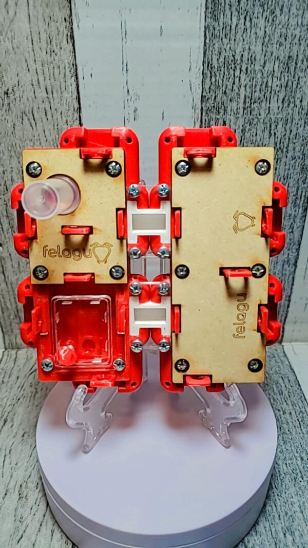 Kit Reinero Modular Felagu