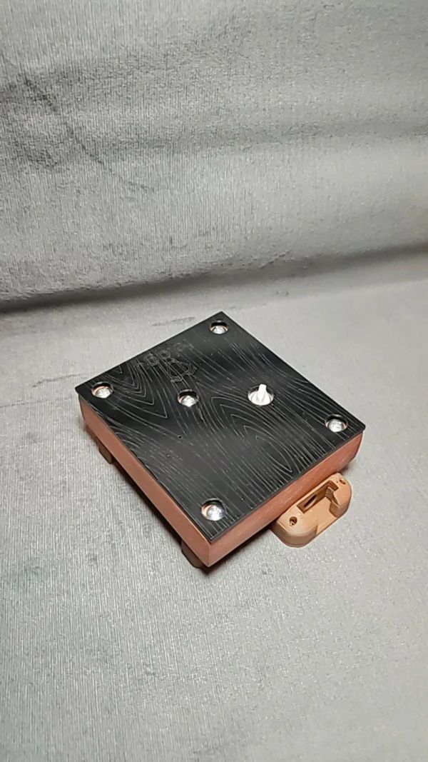 Hormiguero de Madera – Talla M