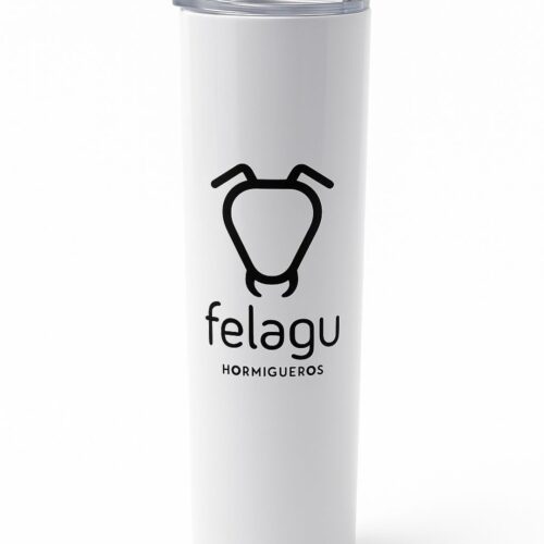 Termo Felagu