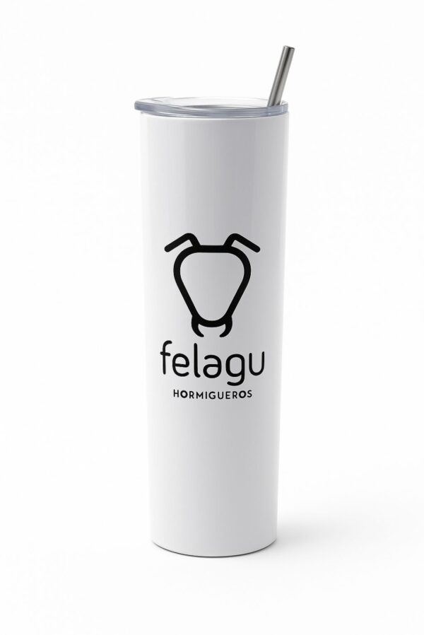 Termo Felagu