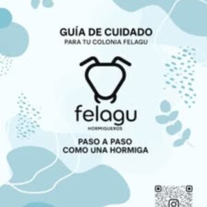 Guia de Cuidados basicos