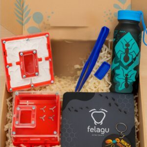 BOX EXPLORADOR TALLA S – (colonias formadas)