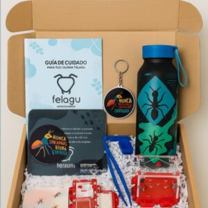 BOX AVENTURA TALLA M – (colonias formadas)