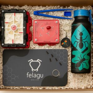 BOX EXPEDICIÓN TALLA L – (colonias formadas)
