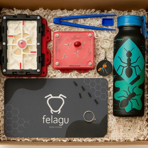 BOX EXPEDICIÓN TALLA L – (colonias formadas)