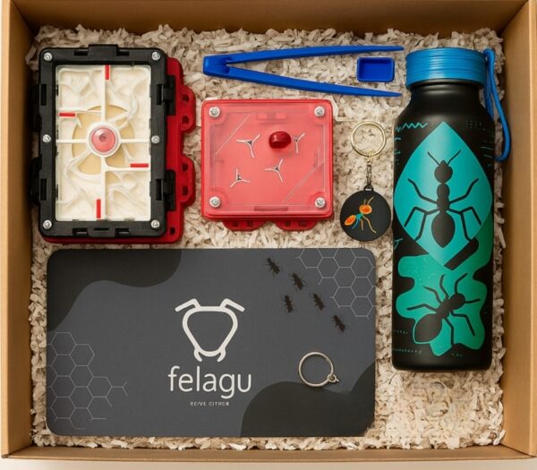 BOX EXPEDICIÓN TALLA L – (colonias formadas)