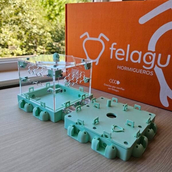 Hormiguero - Kit Modular Felagu